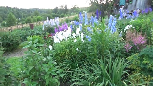 Прогулка по моему саду, на середины июля ! смотреть онлайн