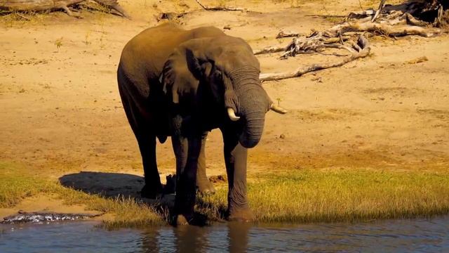 Доброе утро! смотреть онлайн