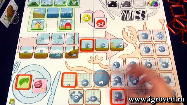 Концепт для детей: Животные. Обзор настольной игры от Игроведа