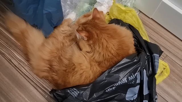 Барахолка. Барахолка Днепр. мои покупки на барахолке. Чешский хрусталь. Антиквариат. смотреть онлайн