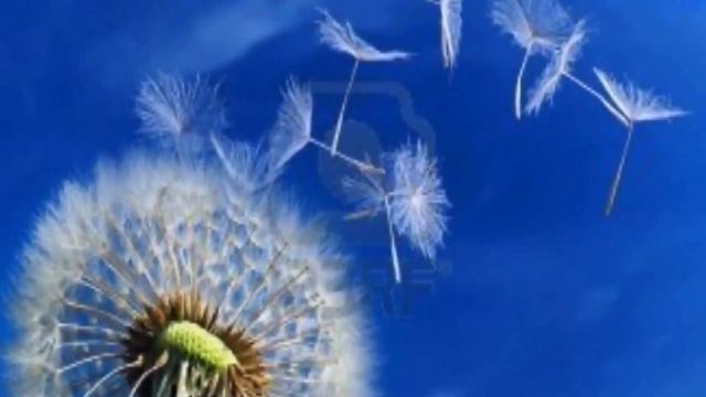 Nunavut - Canada смотреть онлайн