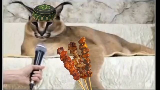 Каракал шлепа учит как правильно готовить шашлык смотреть онлайн