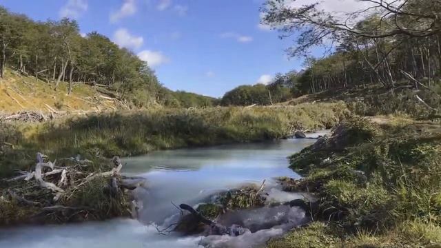 Аргентина. Ушуайя. Национальный парк «Laguna Esmeralda» смотреть онлайн