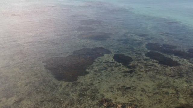 DJI Spark at Mon Choisy - Mauritius смотреть онлайн