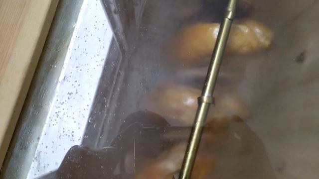 Закоптил курицу за 15 минут на балконе! Рецепт. Электростатика. Дегустация! Розыгрыш нагнетателя! смотреть онлайн