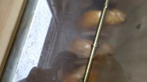 Закоптил курицу за 15 минут на балконе! Рецепт. Электростатика. Дегустация! Розыгрыш нагнетателя!