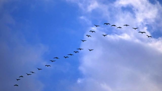 Осень 5+ смотреть онлайн