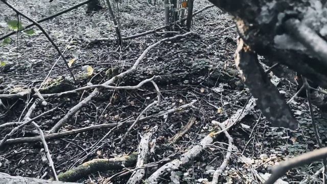 VID 20220830 053058 Снова поверилось в дали свободные...1913(Н. Клюев)...Павел Васильев Лахтинский смотреть онлайн