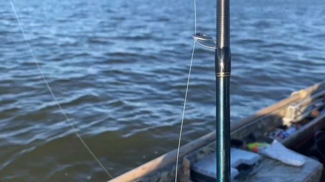 12 судаков за 2,5 часа в черте города Астрахань смотреть онлайн