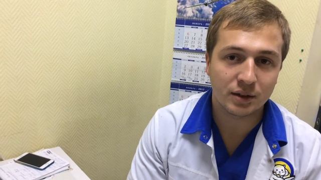 Услуги ветклиники в Красноармейском, старший врач [Ветклиника Чулковой]