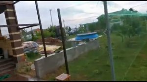 Защита плодовых деревьев от птиц