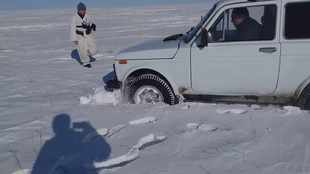 Нива смотреть онлайн