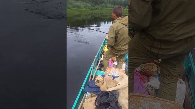 Щука.Рыбалка.На лодке по порогам.Кимжа.На блесну. смотреть онлайн
