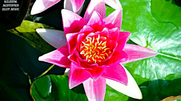 ?Музыка для Релаксации и Медитации. Расслабляющая Музыка для Йоги. Успокаивающая Музыка для Отдыха.