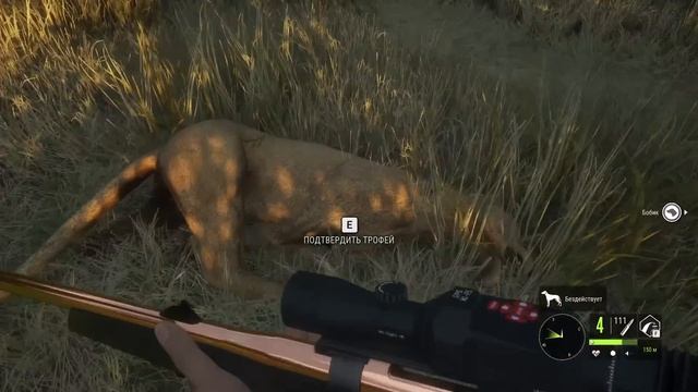 TheHunter Call of the Wild - Львы - ОПАСНАЯ ОХОТА - Как охотиться - Саванна смотреть онлайн