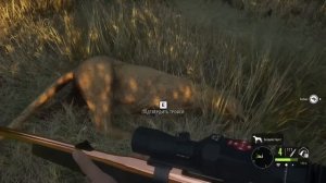 TheHunter Call of the Wild - Львы - ОПАСНАЯ ОХОТА - Как охотиться - Саванна