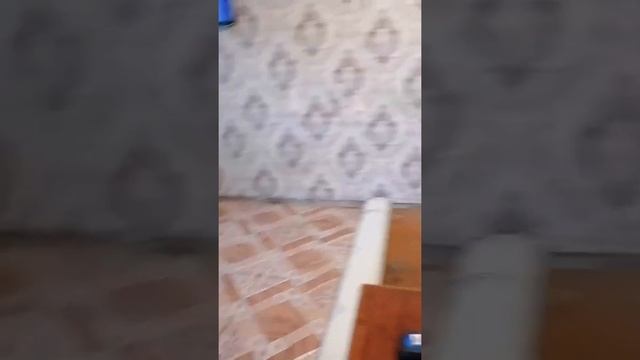 БЕЗУМНЫЙ ПАША. ВЫРАВНИВАЮ ЛИНОЛЕУМ. смотреть онлайн