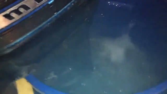 Mercury 110 motor. 9.9 hp смотреть онлайн