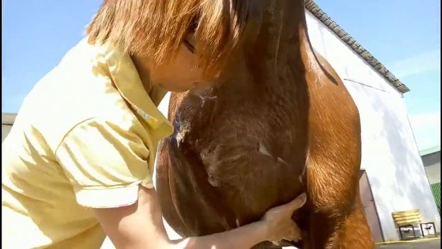 Банный день коня / Дивные Кони смотреть онлайн