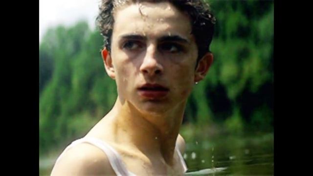 timothée chalamet | feel real смотреть онлайн