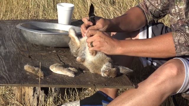 How to Skin a Rabbit (hunting / field dressing / skinning / small game butcher tips) смотреть онлайн