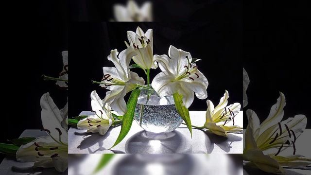 А я несу тебе цветы... смотреть онлайн