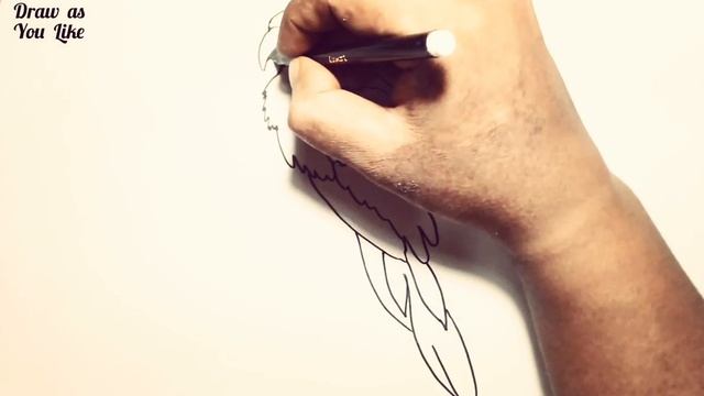 Simple Sketch....MACAW смотреть онлайн