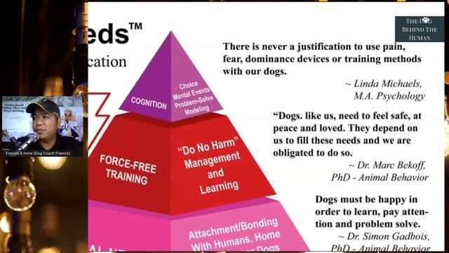 UGALI NG MGA ASONG NA NGANGAGAT AT PAANO ITO IWASAN смотреть онлайн