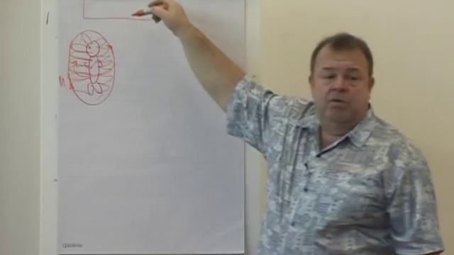 Оценка рисков в бизнесе (с семинара Человек 2.0 видео №6) смотреть онлайн