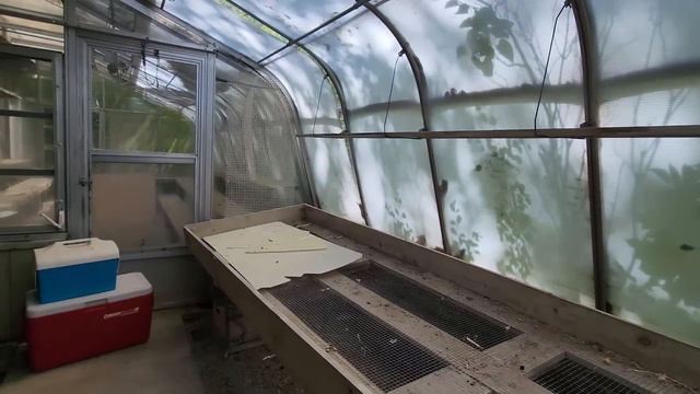 💥Миллионер Распродает Свое Имущество!Чикаго.Антиквариат.Винтаж смотреть онлайн