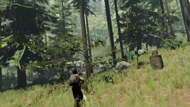 Exploring the Forest in VR: DEE-NA-MEE-TAY Experience смотреть онлайн