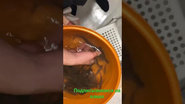 Рыбалка на мордушки смотреть онлайн