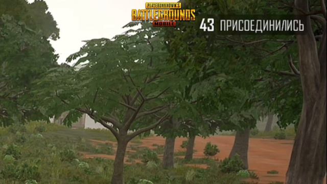 Какой будет первый день для Pubg Mobile после выхода Pubg New State смотреть онлайн