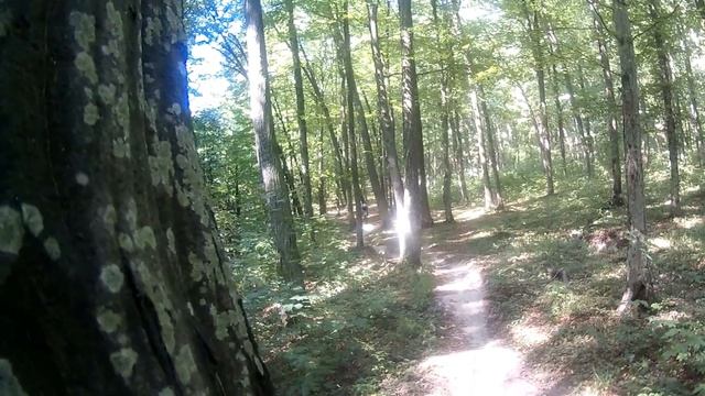 змагання "Подільське_Коло"_2017 Вінниця смотреть онлайн