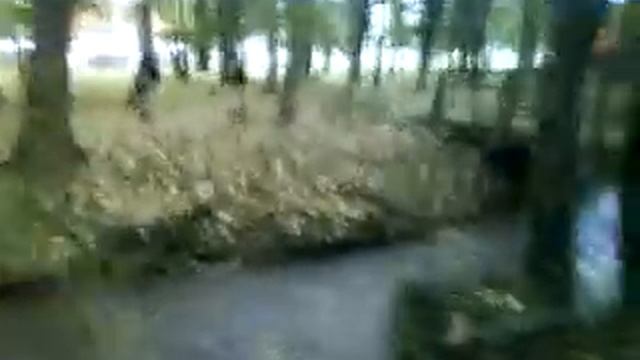 Course la B*** a l'air смотреть онлайн