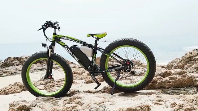 HI-FLYING ECO-FLYING electric bike TOP-020 смотреть онлайн