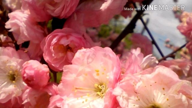 Просто мои фото смотреть онлайн