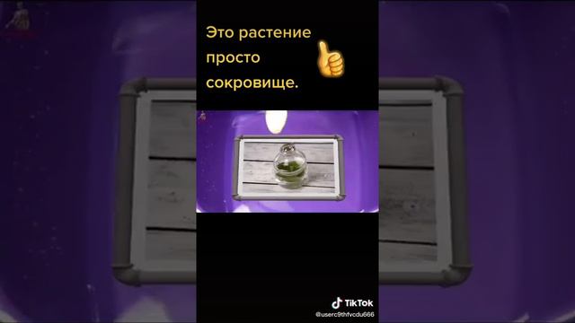 20 августа 2020 г.
