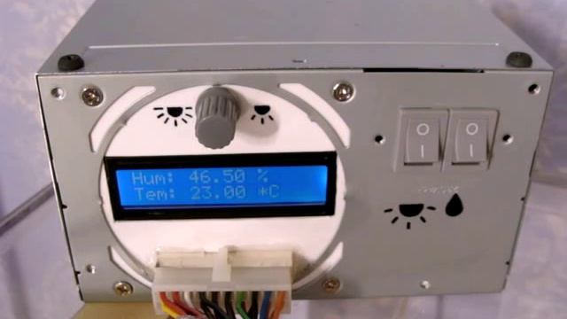 Инсектарий своими руками