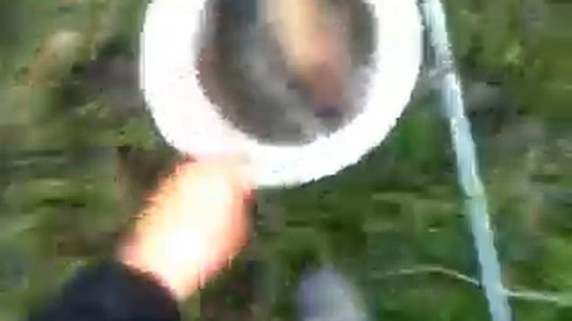 сазан на пол кило. ловля на картошку. смотреть онлайн