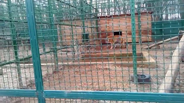Эко парк видео от гугл смотреть онлайн