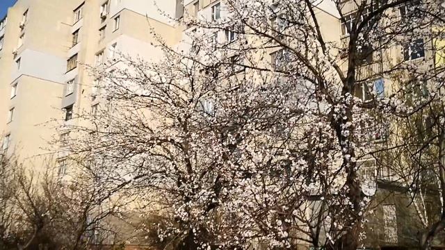 Сам себе дизайнер на пример заборов и многоэтажек смотреть онлайн