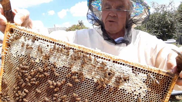 Давать рамки на осушку или не давать смотреть онлайн