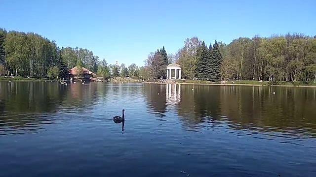 СПб (1) Диво-остров 12-14.05.18 смотреть онлайн