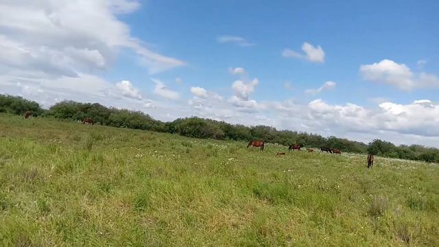 ПРИРОДА И РАБОТА☺️