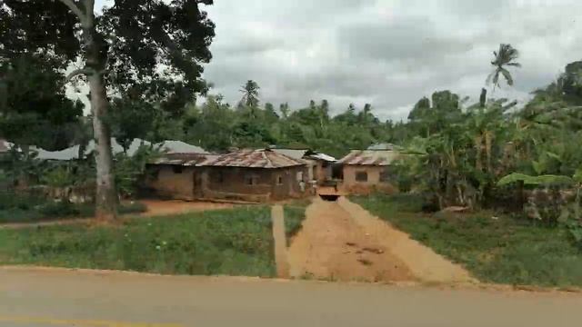 Настоящий Занзибар. Вид из окна автобуса. Едем в аэропорт. Канал Тутси. смотреть онлайн