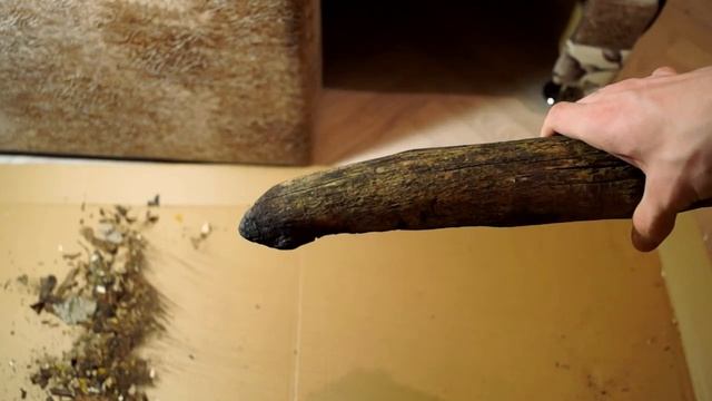 Поиск и обработка коряг - ? Арахноблог #3 смотреть онлайн