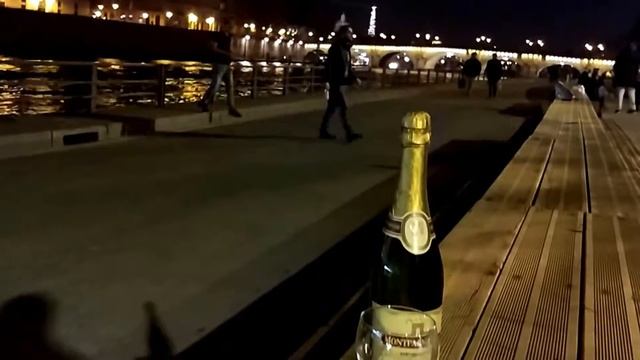 #29 ПАРИЖ ПИКНИК НА СЕНЕ