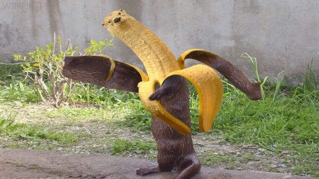 Funny Hybrid Animals Made In Photoshop