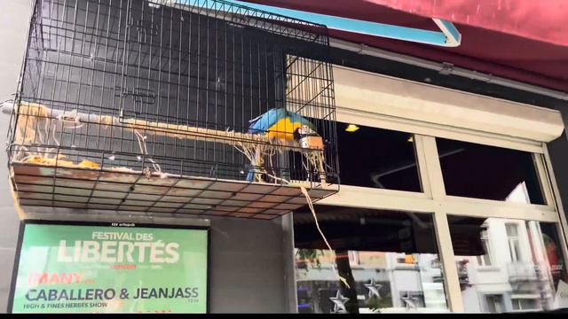 👿ПОХОД НА ПРИЕМКУ!!!😈 СДАЮ МЕДЬ!!! Сколько стоит медь в Европе??🤔#медь #металоприемка #деньги